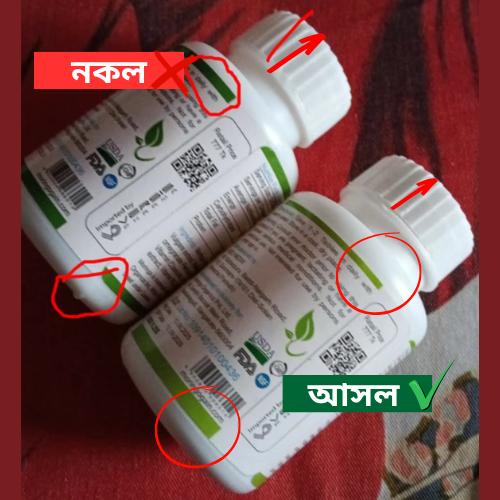 Comparison 2